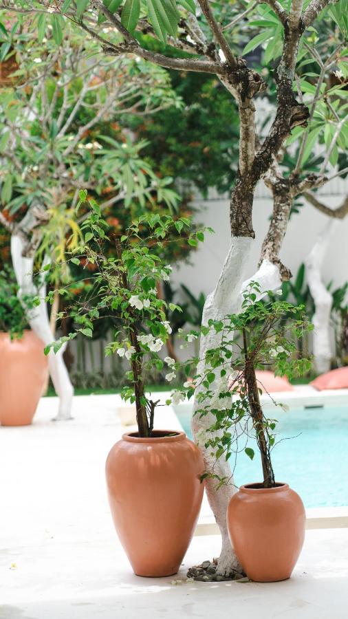 Villa Diola 3 Canggu Buitenkant foto